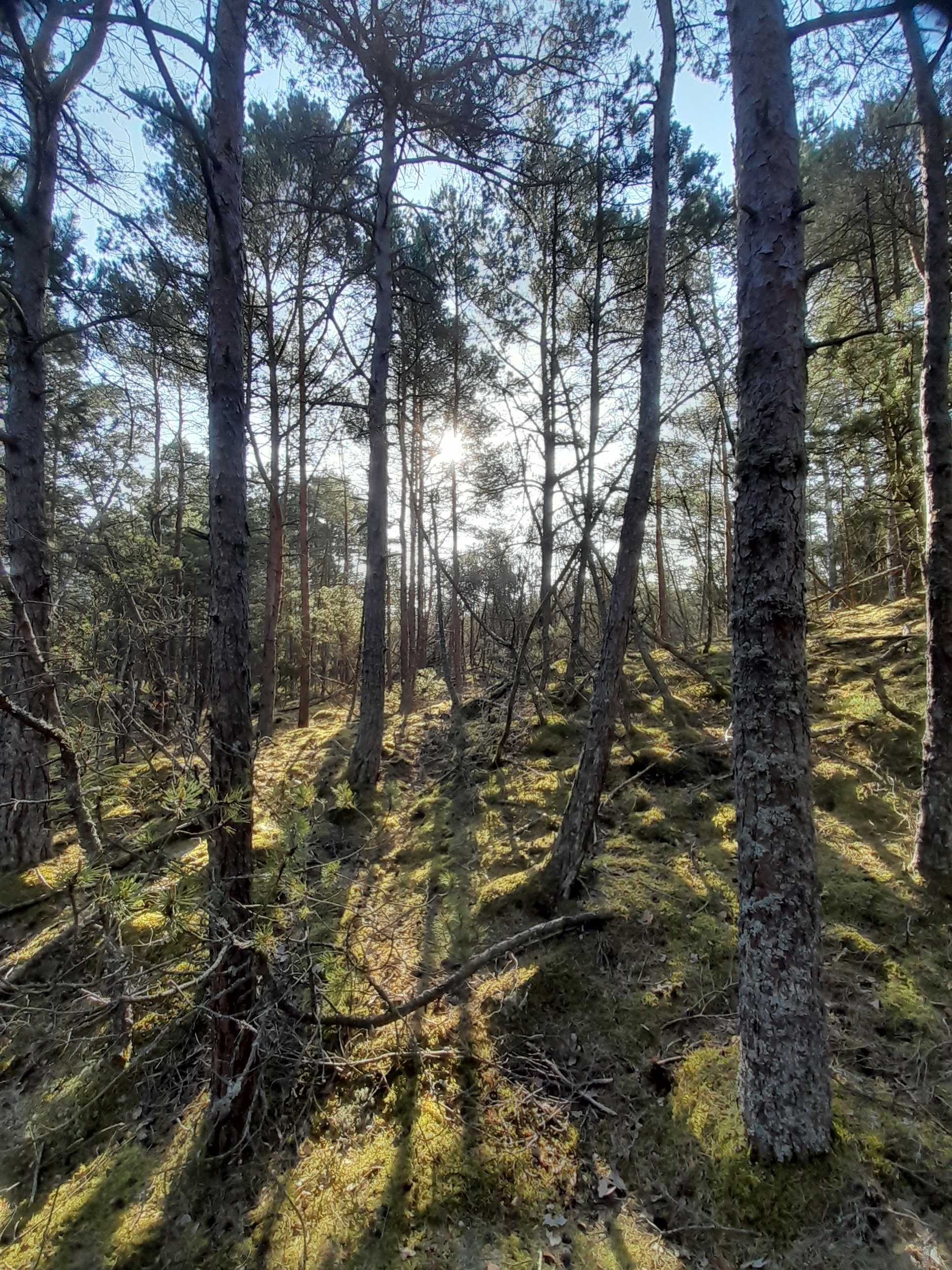 OSTATNIE TERMINY! Domek letniskowy, prywatna działka BIAŁOGÓRA Klonowa