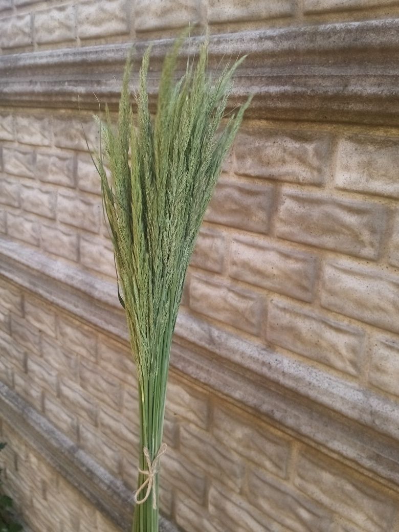 Декор для дома сухоцвет букет трава срочно
