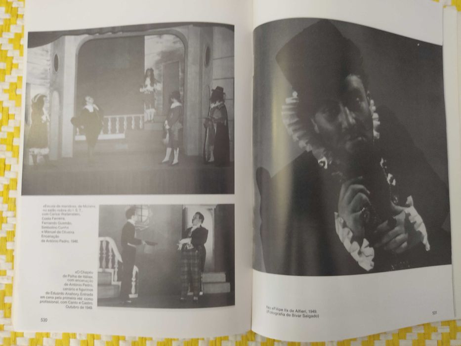 Uma casa com janelas para dentro - Costa Ferreira