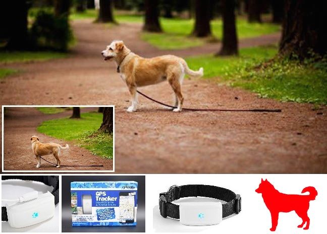 Ошейник с GPS Трекер ТКSTAR 911 для Средних Собак Вес 33г Tracker