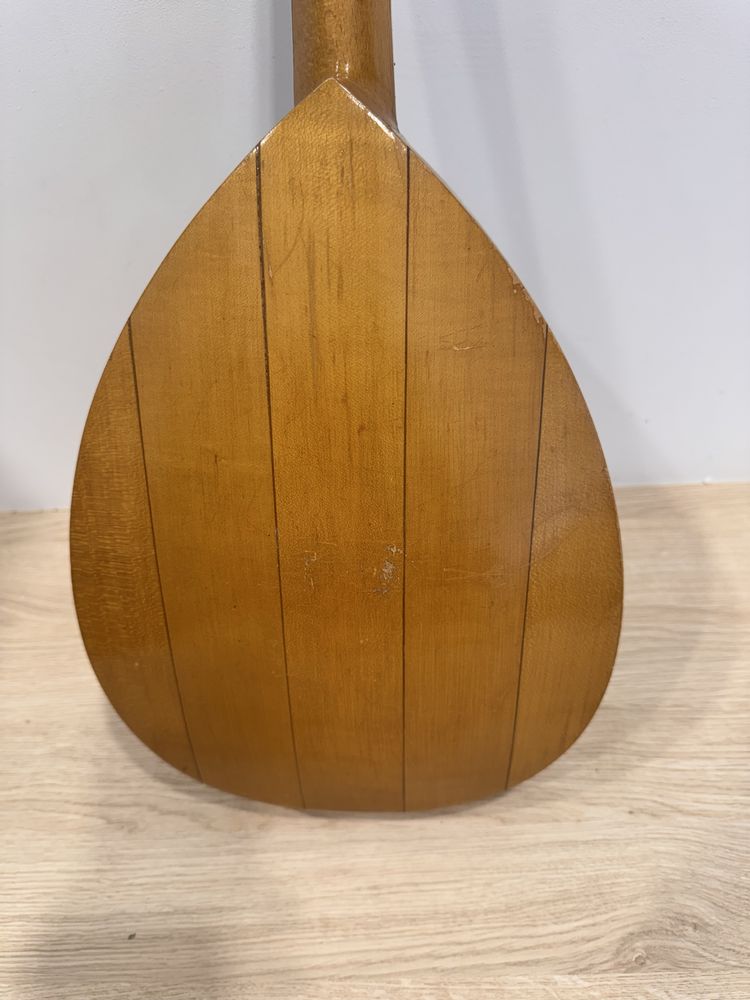 Mandolina mandolina