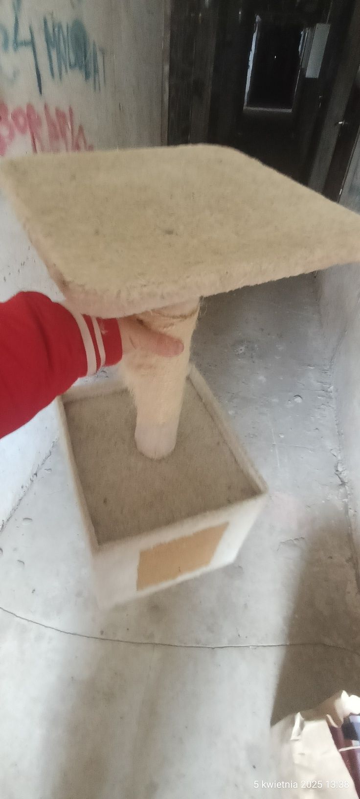 Drapak dla kota plus piłeczki gratis .
