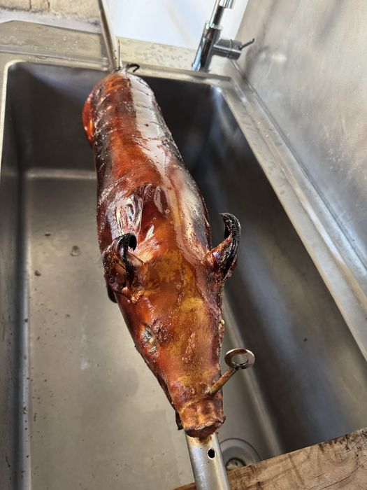 Vendo leitoes ate sabado 29-11