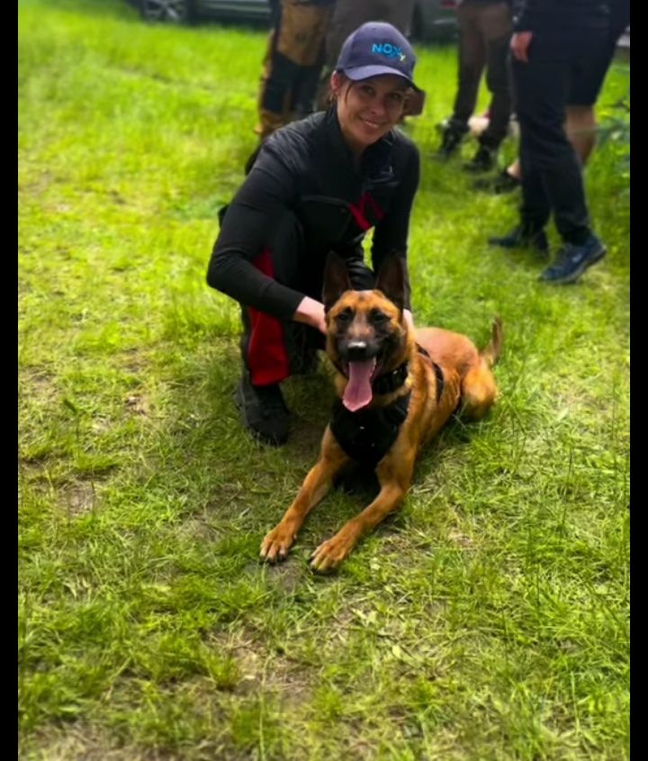 Owczarek belgijski Malinois FCI