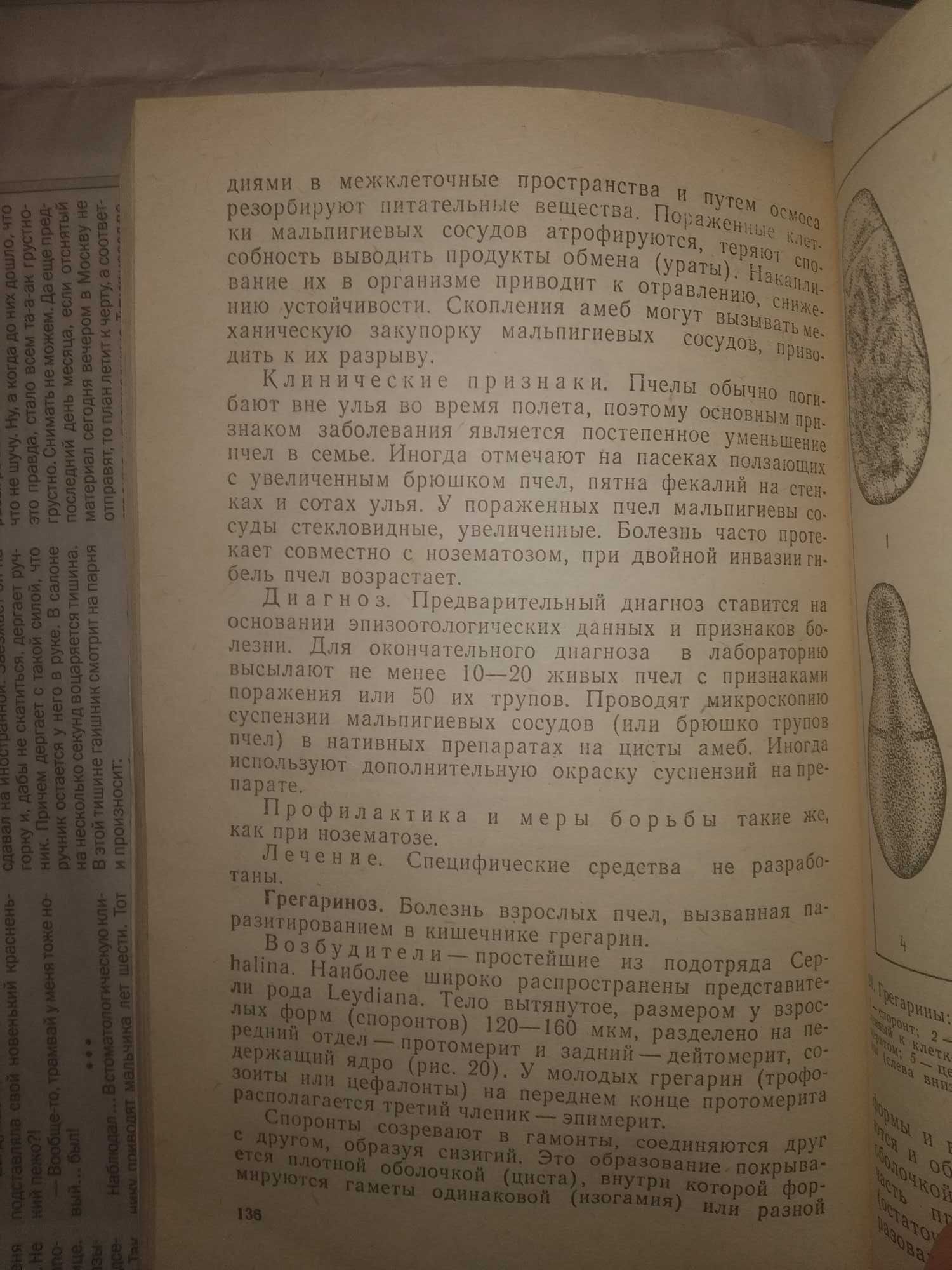 Болезни и вредители пчел Гробов Лихотин Пчеловодство