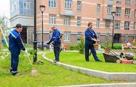 Обработка деревьев, участков от комаров, клещей, болезней