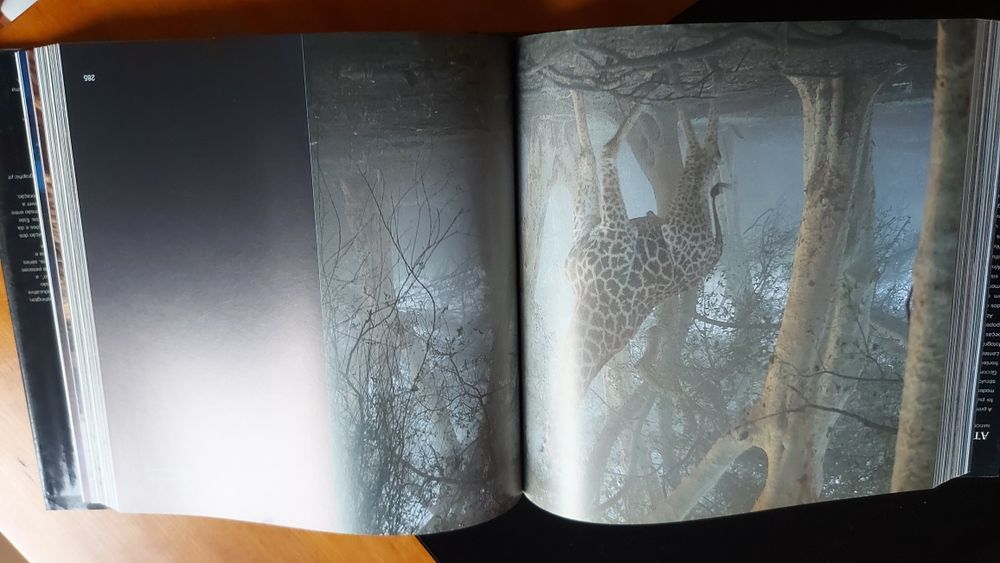 Através das Lentes Uma Janela para o Mundo