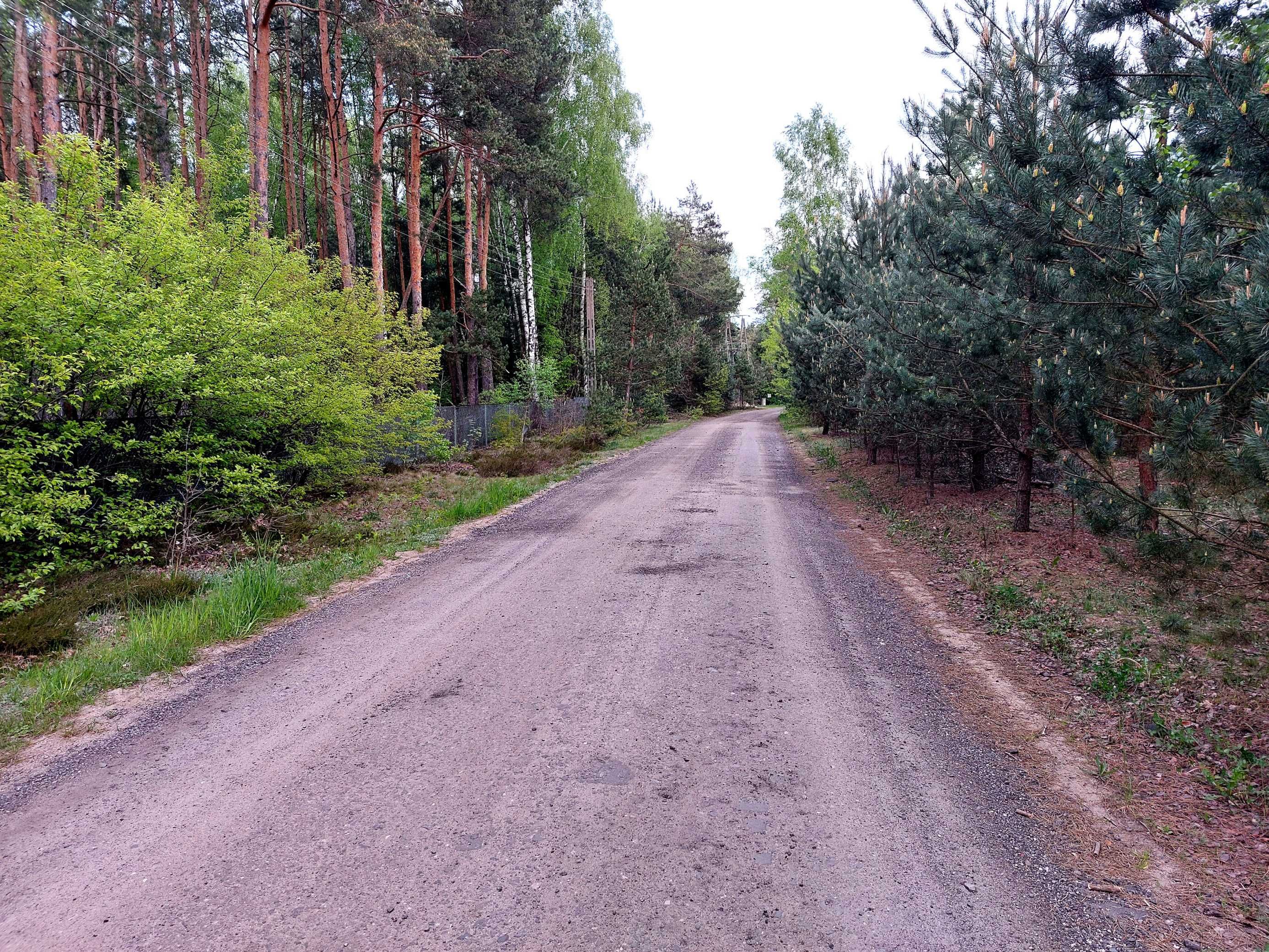 Działka jak z bajki – las, spokój, natura!