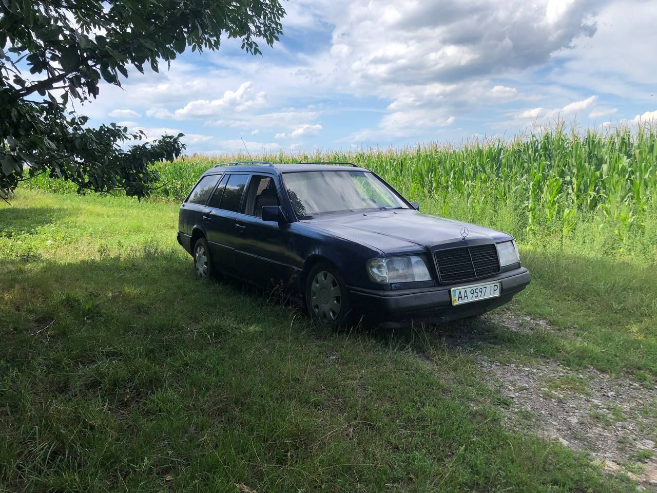 Mersedes w124 2.3