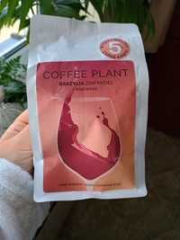 Coffe Plant Brazylia Zinfandel Espresso