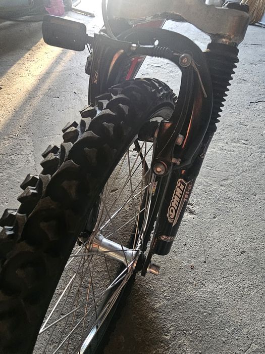 Rower  20 całi 300 zł