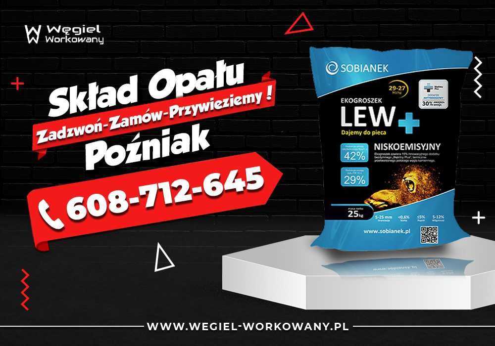 Groszek Lew Plus Sobianek 29-27 MJ/kg