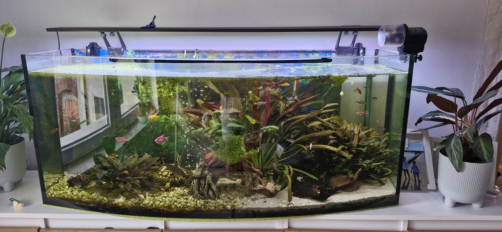Akwarium 240l z wyposażeniem