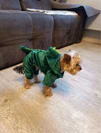 Комбинезон - одежда для собачки - костюм на малыша - дракончик.