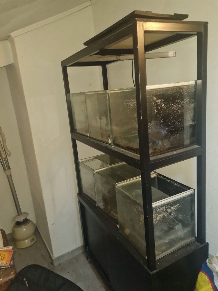 Rack/estante de aquarios