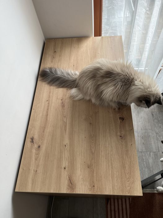 Biurko z szuflada i szafka