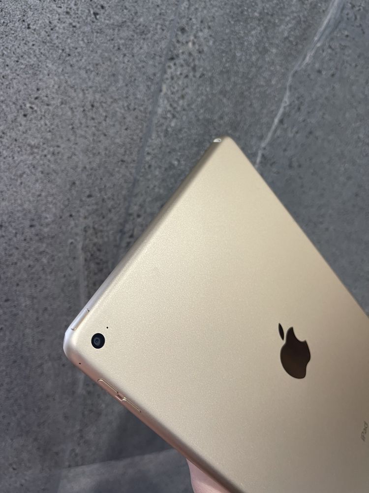 iPad Air 2 16gb Wi-Fi Gold (22)