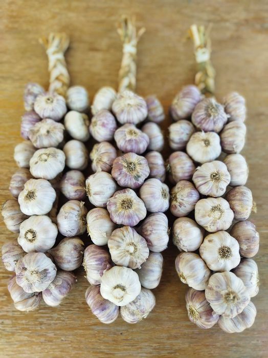 Polski czosnek warkocze