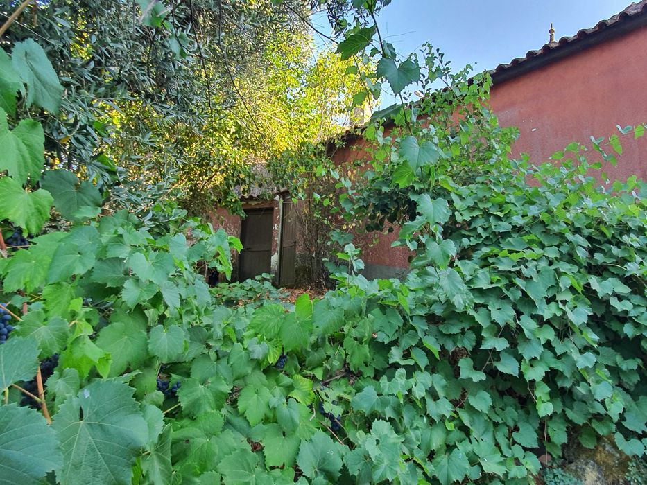 Vendo Casa em Pucariço - Proença-a-Nova, Distrito de Castelo Branco