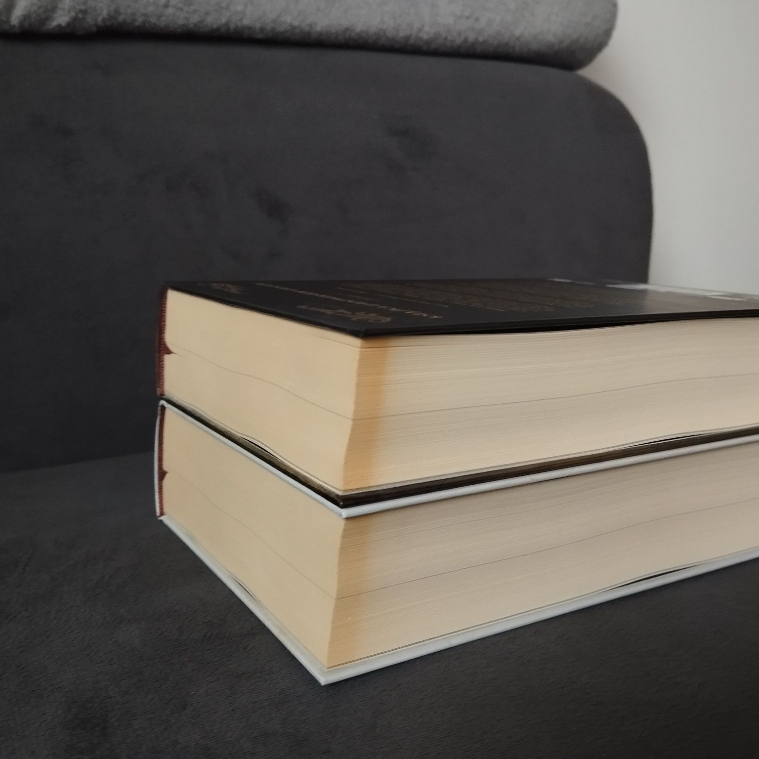 Król z bliznami Rządy wilków Leigh Bardugo