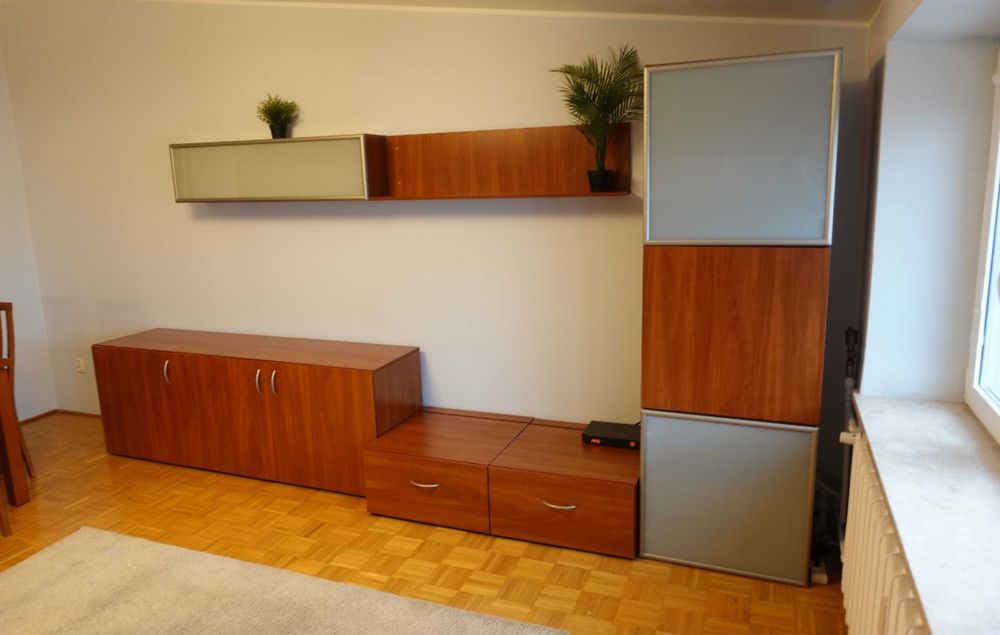 Witryna klasyczna – fornirowana, szkło matowe