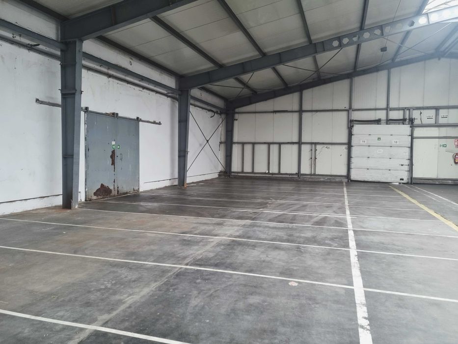 Powierzchnia magazynowa do wynajęcia / nawet do 5000m2