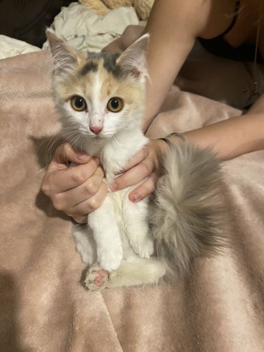 В люблячу родину ‼️