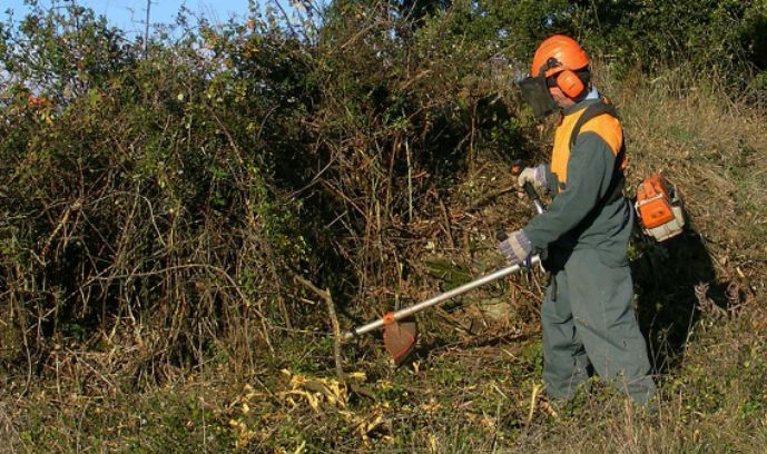 Abate de árvores /limpeza de terrenos/manutenção jardins e construção