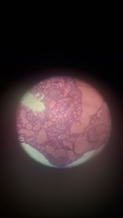 3 Микроскопа УШМ-1