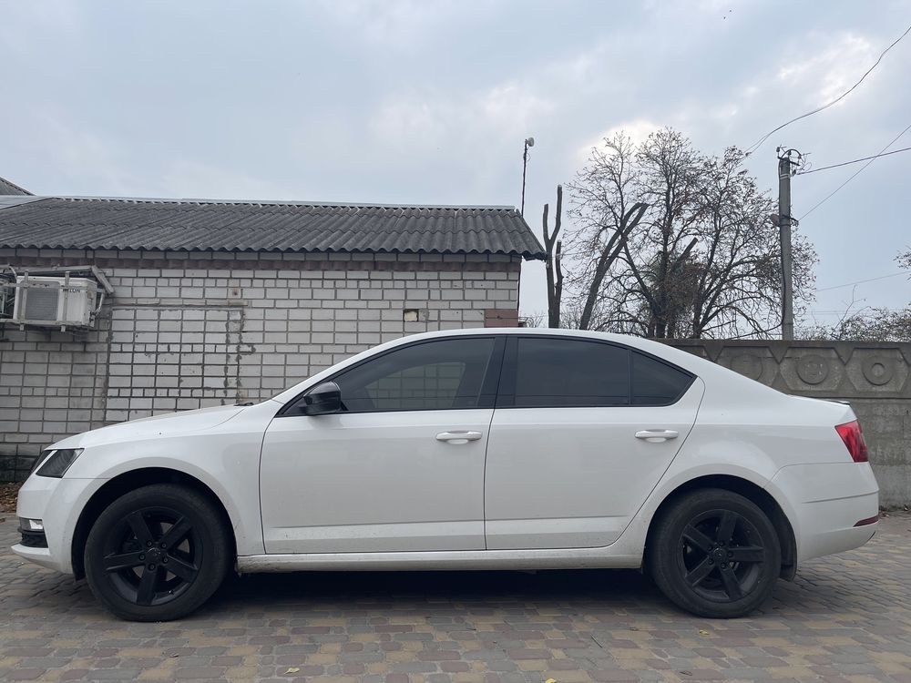 Skoda Octavia a7 2019 official