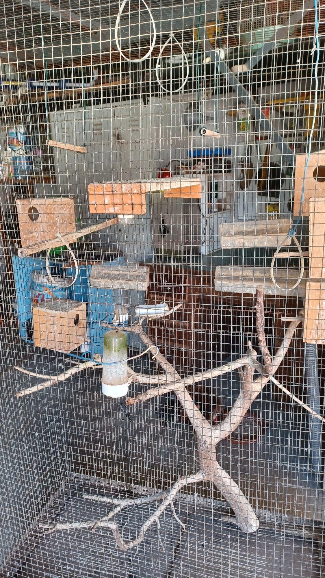 Gaiola para pássaros