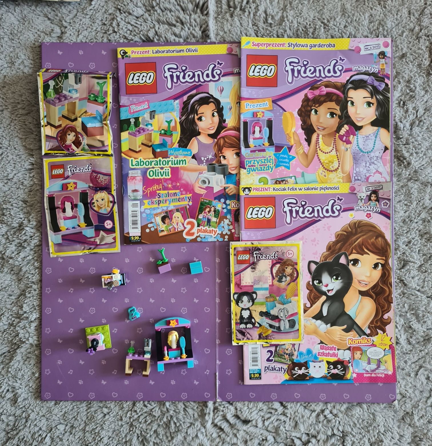 Zestaw klocków lego friends