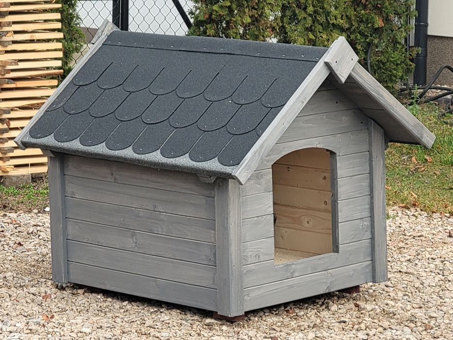 Buda dla psa Warszawa i okolice