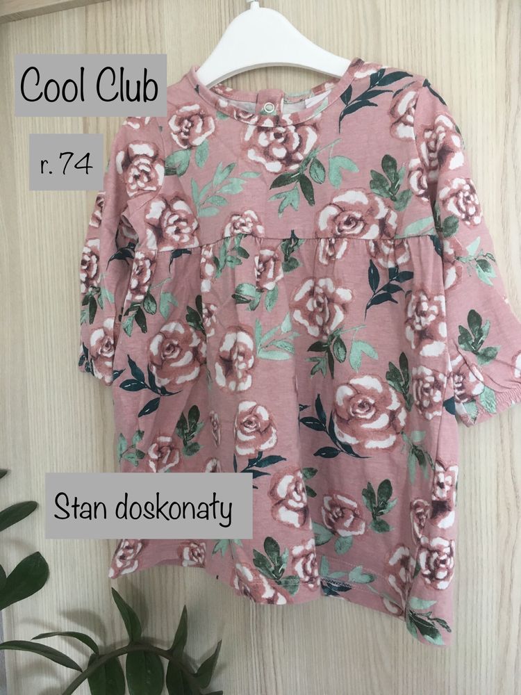 r. 74 coolclub sukienka w róże kwiaty wizytowa jak newbie