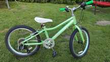 Rower 20 Giant Liv Enchant alu rama sprawny