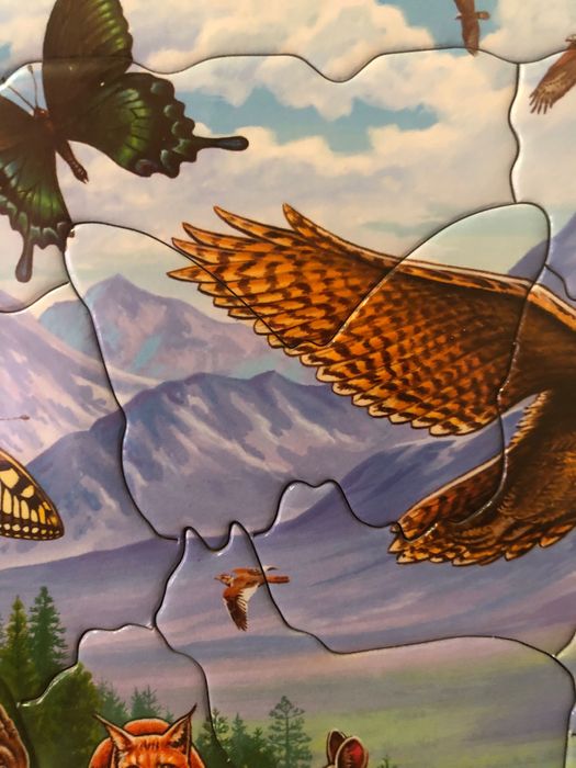 Нові Пазли Larsen