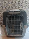 Caixa transportadora/ box animais