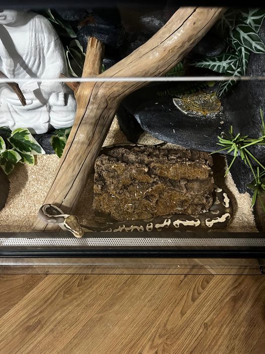 Terrarium z lokatorem