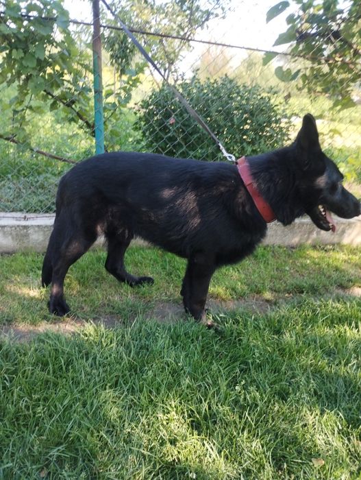 Кабель для в'язки