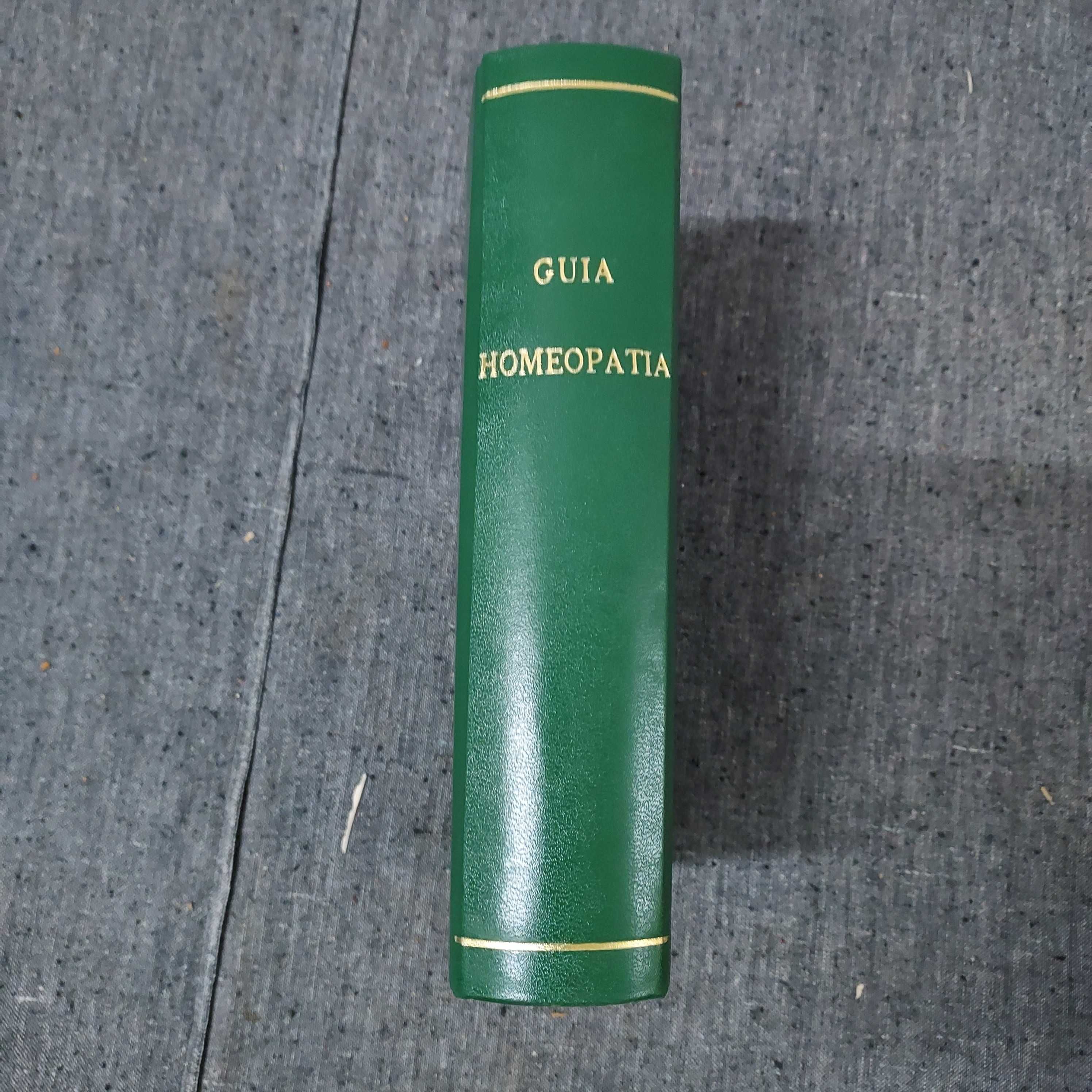 J. Prost-Lacuzon-Guia Homeopática-1880