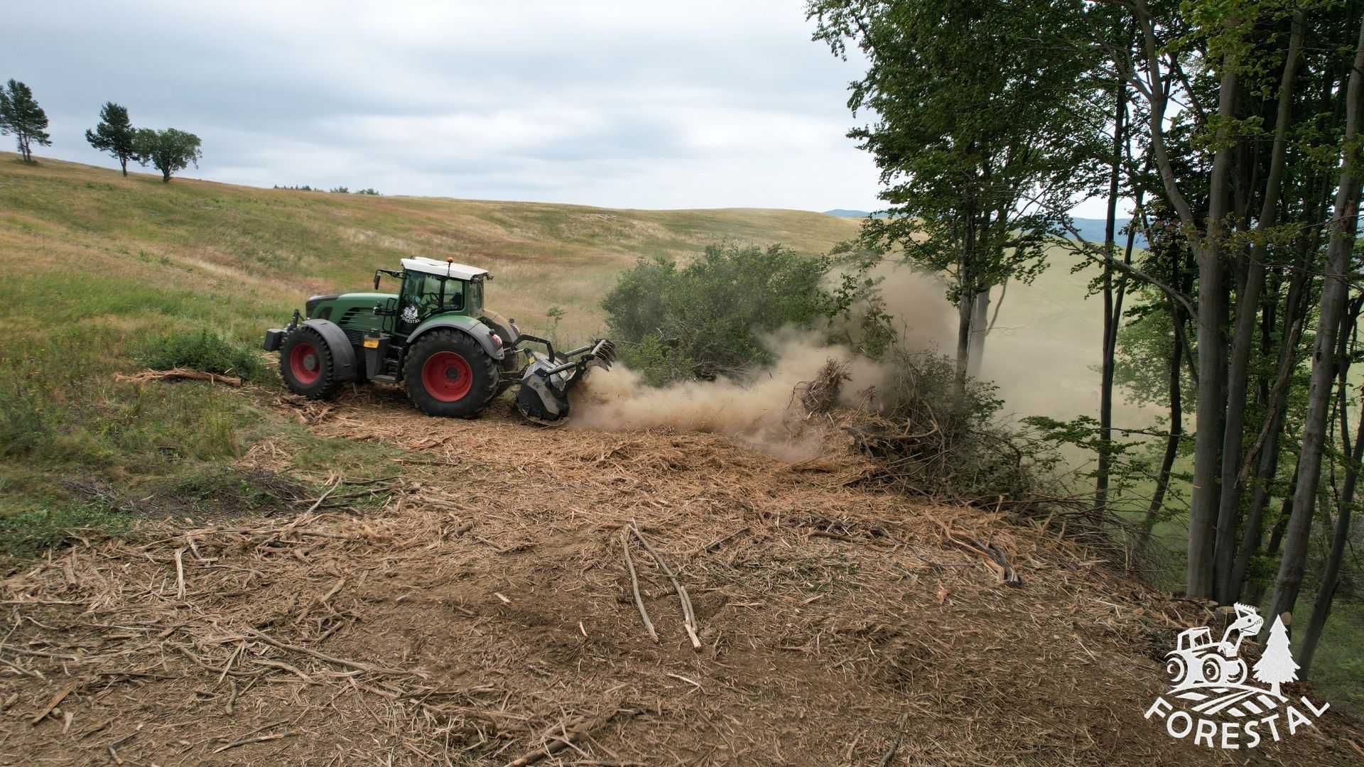 Wycinka / Czyszczenie działek / Mulczowanie / Mulczer / FORESTAL