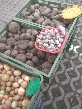 Warzywa ziemniaki z gospodarstwa rolnego