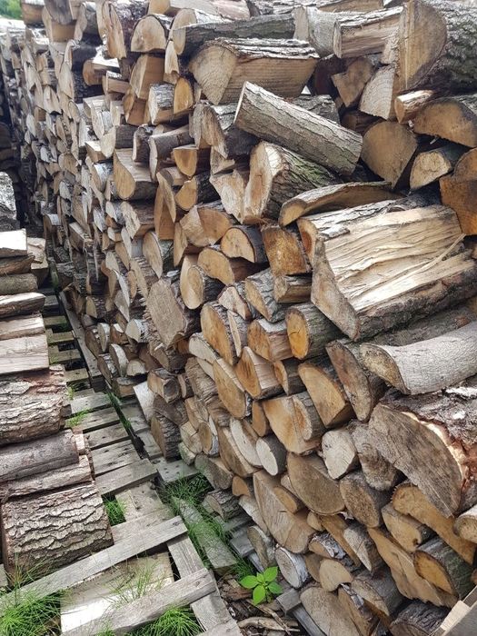 Drewno Kominkowe I Opałowe Grab, dąb. Olcha. Sosna. Brzoza, rozpałkowe