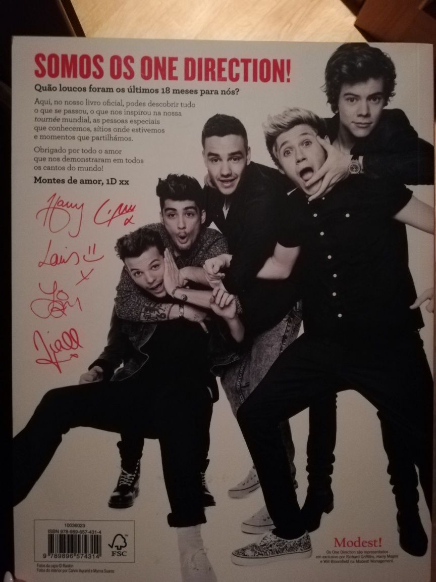 Livro One Direction "Onde estamos"