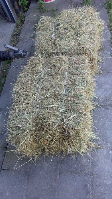 siano w kostkach 60 kostek transport