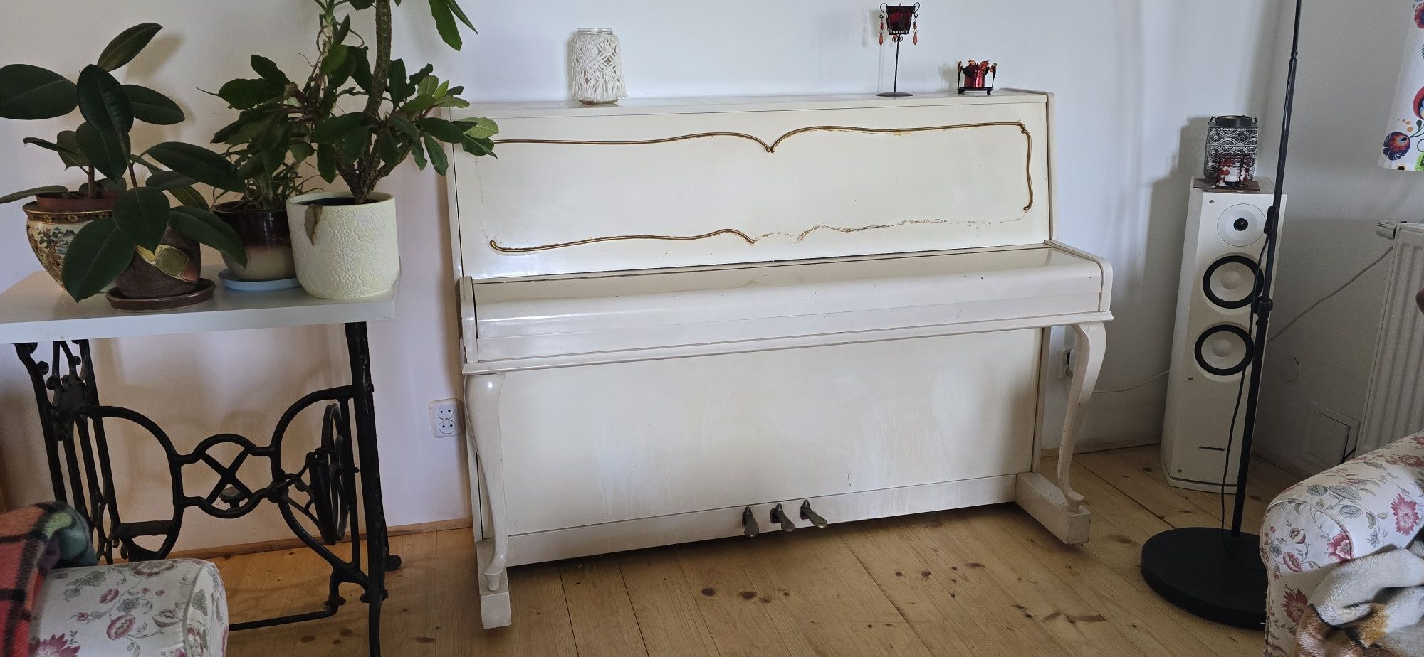 Pianino Calisia Chippendale M-105