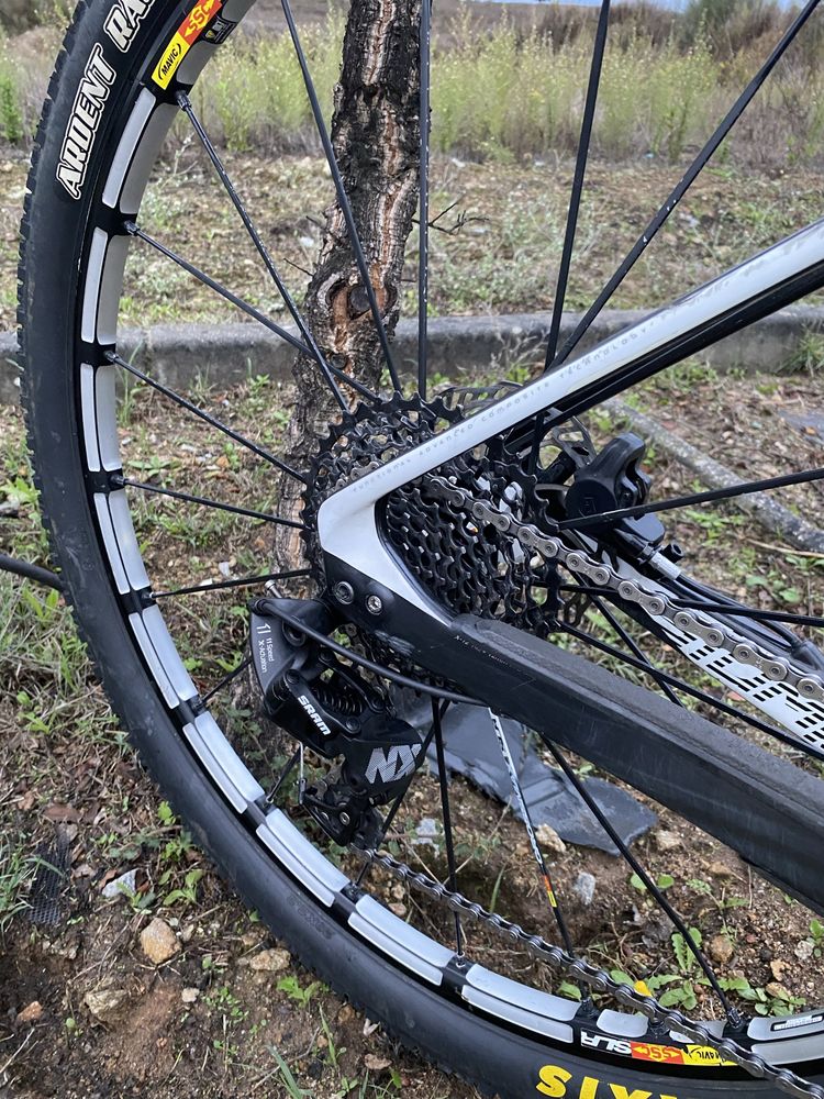 Specialized Stumpjumper 29 carbono