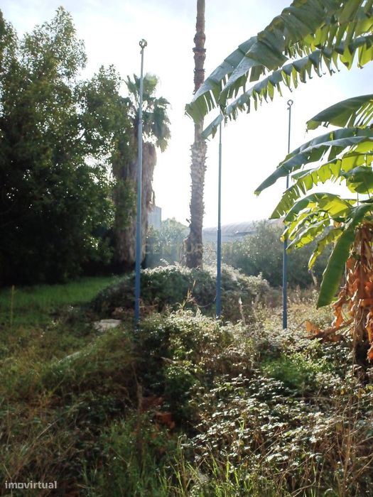 Terreno Amadora