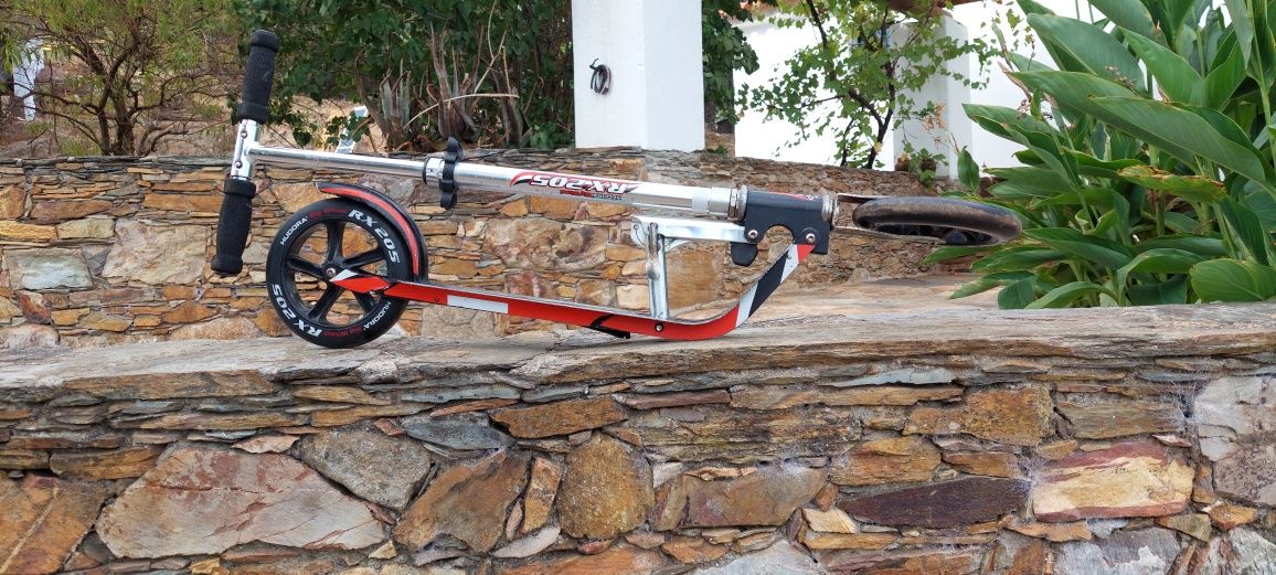 Scooter de rodas grandes RX205