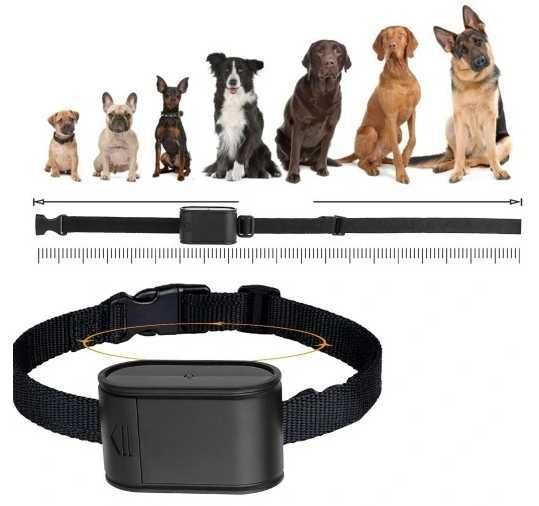 Elektryczny pastuch dla psa, kota, obroża, XXL 300m, kojec, bezpieczny